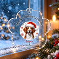 Personalized Acrylic Paw Print Ornament – Custom Dog Breed & Name Keepsake (Brittany - Dandie Dinmont Terrier)