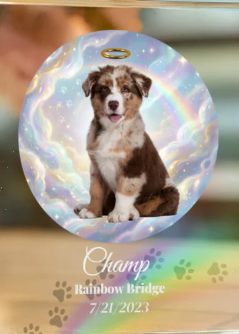 Personalized Pet Memorial Acrylic Plaque – “Waiting At The Door” Poem | Custom Photo Sympathy Gift